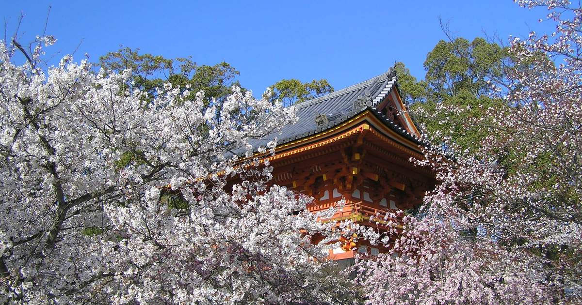 京都：金閣寺と静寂な庭園ツアー（チケット付き） | Klook